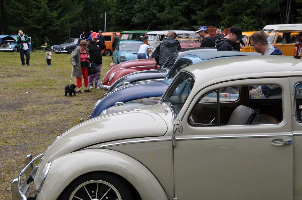 DSC_0404.jpg, 143.19 kb, 1024 x 680