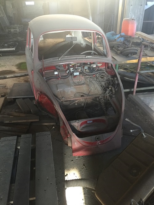 IMG_3036.JPG, 112.95 kb, 500 x 666