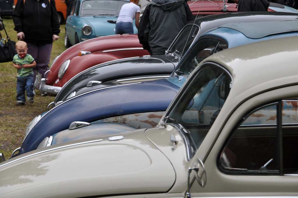 DSC_0405.jpg, 127.83 kb, 1024 x 680