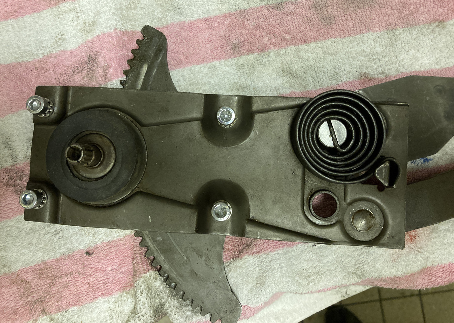 IMG_0942.JPG, 554.19 kb, 1520 x 1083