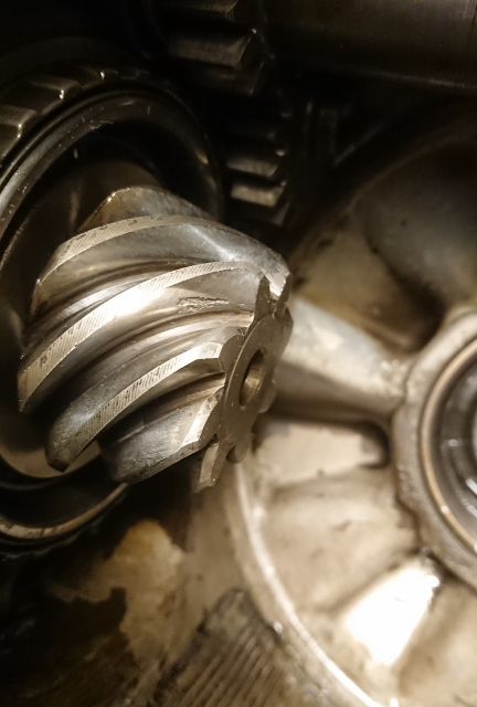 pinion.png, 334.94 kb, 432 x 640