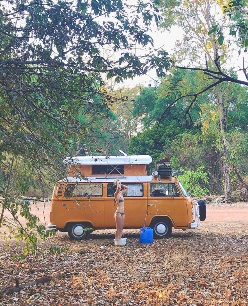 500.jpg, 181.02 kb, 500 x 618