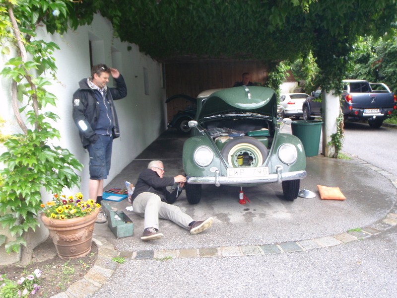 P6130112 [800x600].JPG, 150.09 kb, 800 x 600