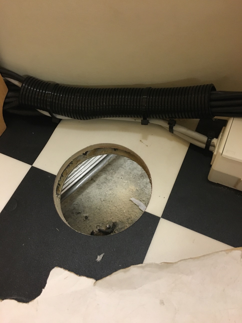 2 IMG_0820.JPG, 289.1 kb, 968 x 1291