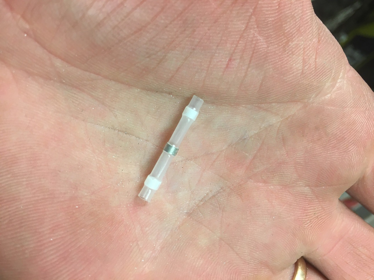 IMG_9811.JPG, 298.6 kb, 1291 x 968