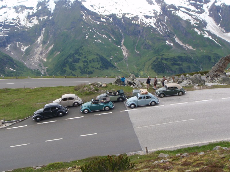 P6140312 [800x600].JPG, 139.82 kb, 800 x 600