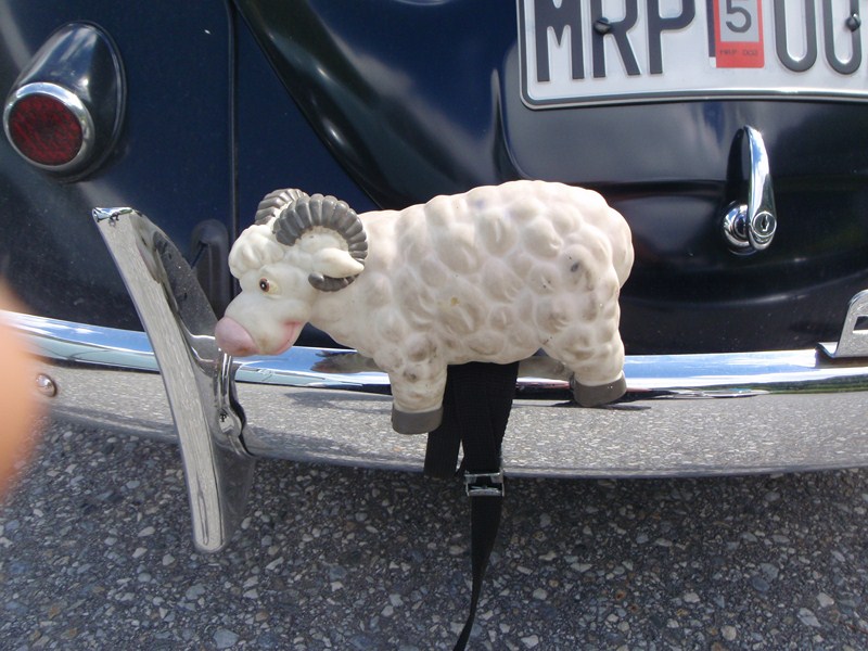 P6140332 [800x600].JPG, 128.28 kb, 800 x 600