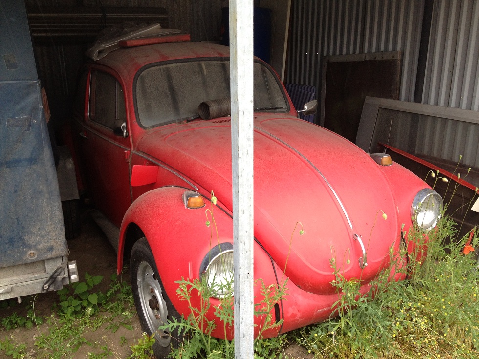 IMG_0093.JPG, 307.18 kb, 980 x 735