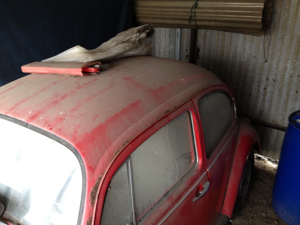 IMG_0095.JPG, 184.11 kb, 980 x 735