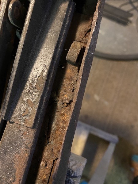 IMG_2670.JPG, 87.78 kb, 450 x 600