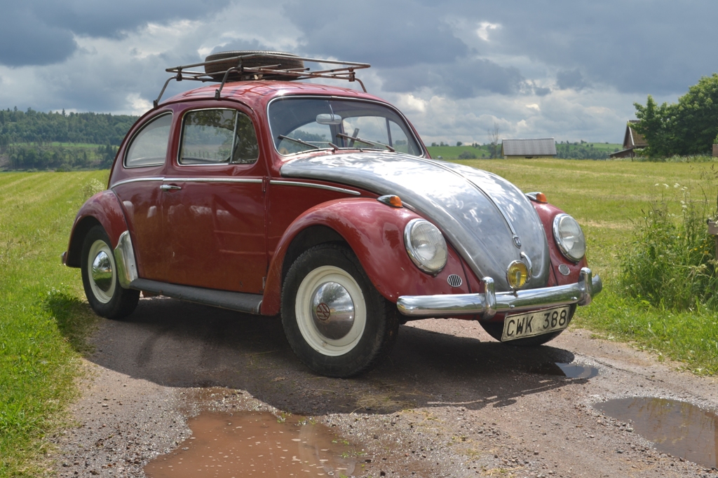 DSC_1340.JPG, 513.71 kb, 1024 x 683