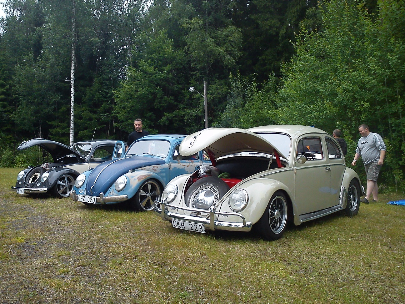 DSC00141.jpg, 729.88 kb, 1296 x 972