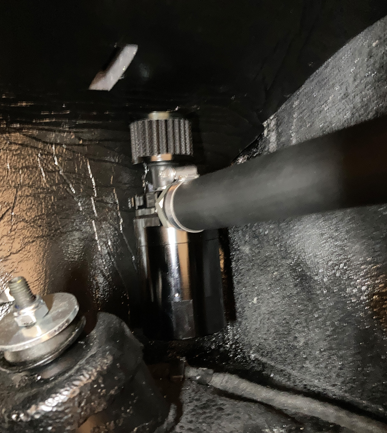 IMG_1310.JPG, 588.13 kb, 1243 x 1392