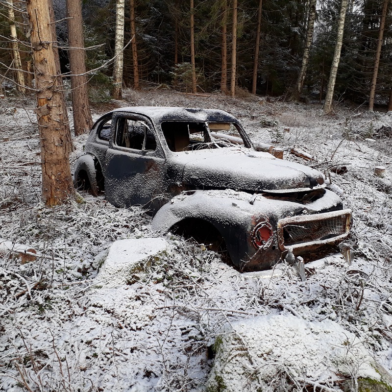 20201129_112727_small.jpg, 467.7 kb, 800 x 800