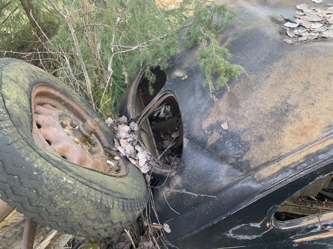 37FA28F1-02A9-4C1B-B806-B580111AA480.jpeg, 509.28 kb, 1280 x 958