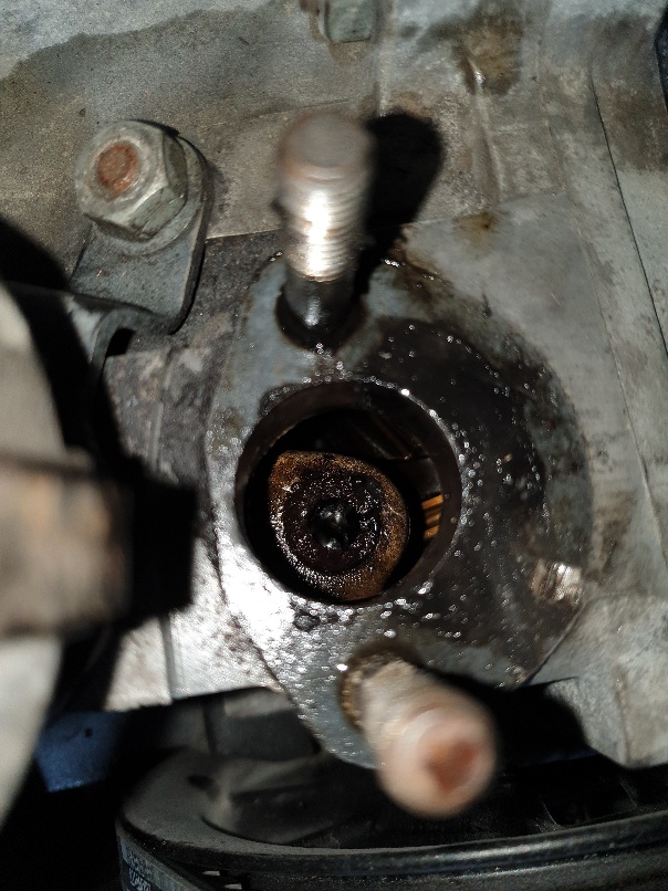 20200613_201459.jpg, 179.41 kb, 604 x 806