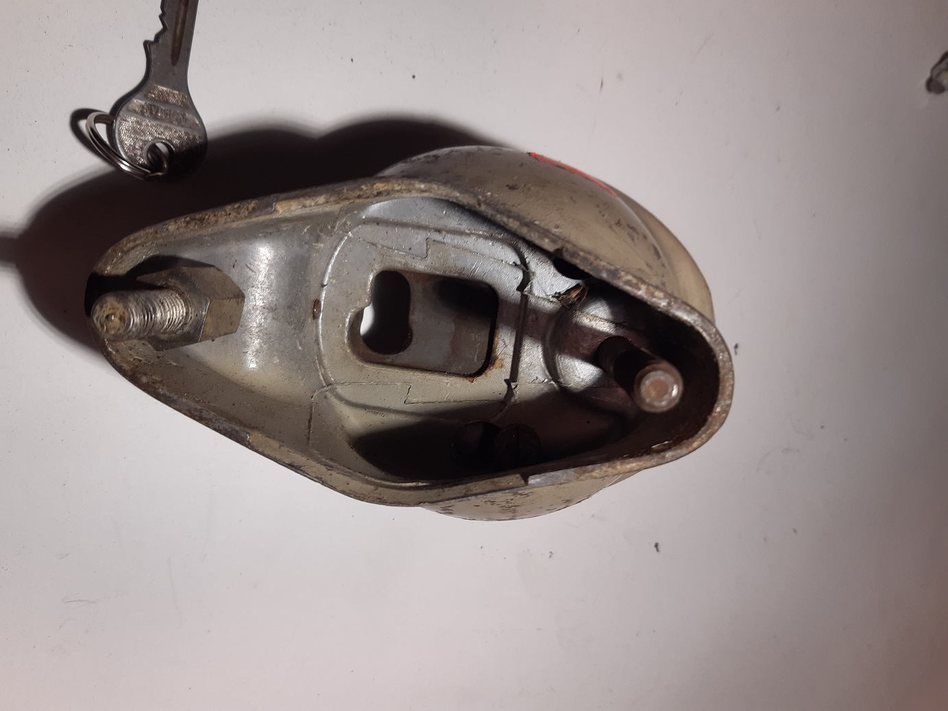 Wolf (3).jpg, 262.46 kb, 1383 x 1037