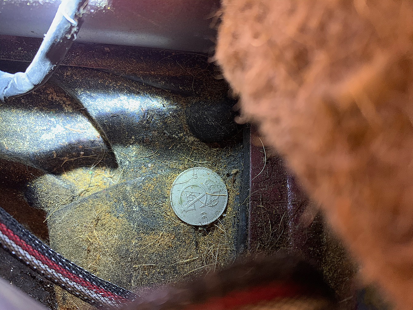 08B1FDCE-0178-4EF0-B08D-B0F6B5B66B67.jpeg, 635.17 kb, 1344 x 1008