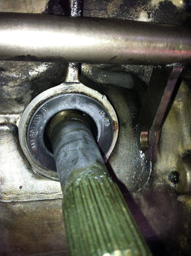 IMG_3162.JPG, 161.95 kb, 672 x 900