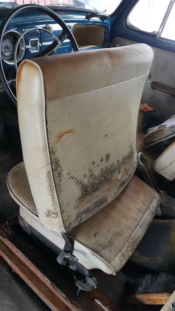 2021-03-20 12.11.39.jpg, 430.39 kb, 720 x 1280