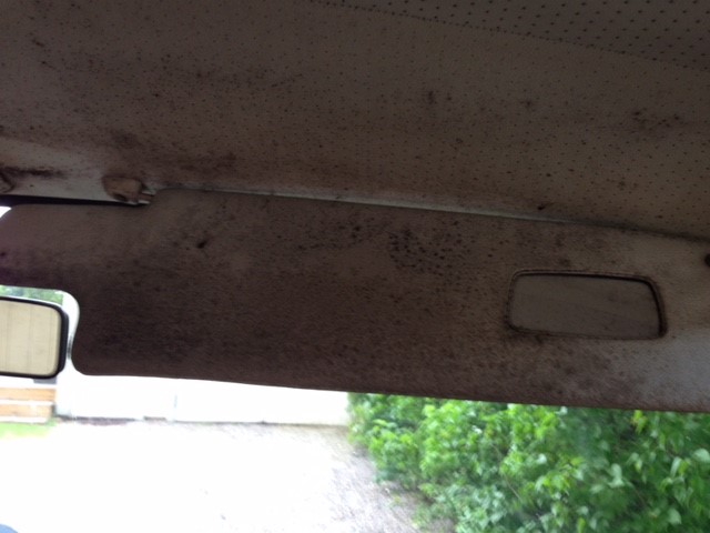 Solskydd Bay 1.jpg, 55.13 kb, 640 x 480