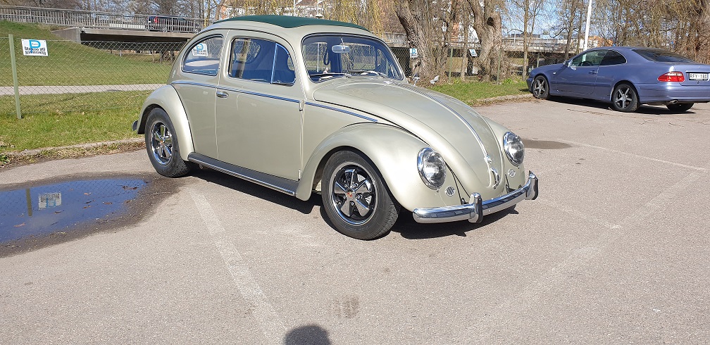 20210410_110125.jpg, 302.27 kb, 1008 x 490