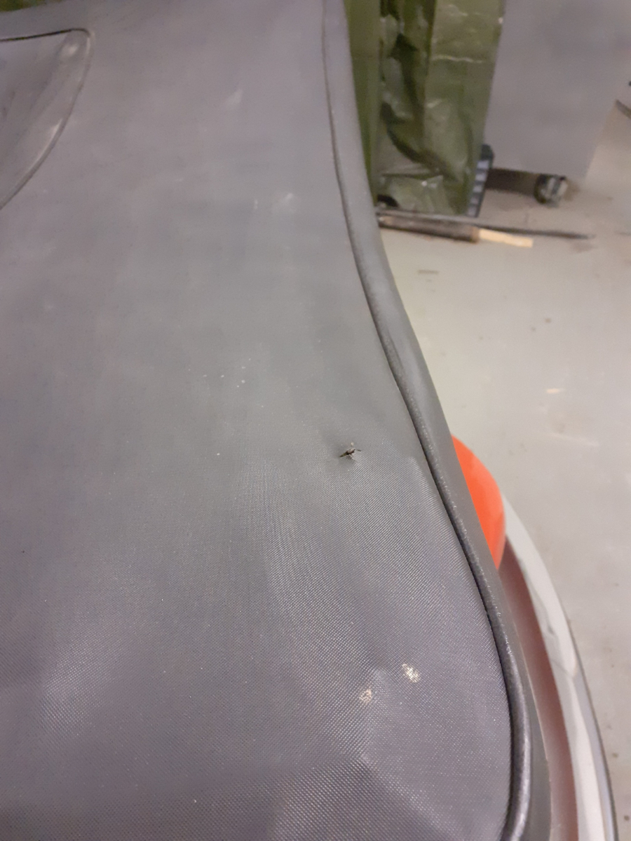 20210424_101142.jpg, 710.01 kb, 900 x 1200