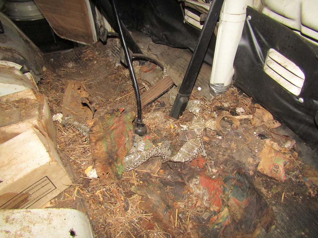 IMG_0036.JPG, 394.02 kb, 1031 x 773