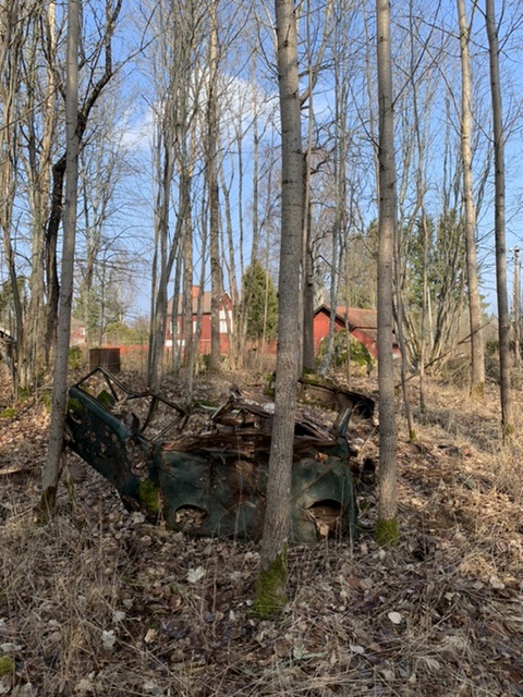 CF6AB9D1-581F-4898-A91C-7878D9A0B5B9.jpeg, 202.78 kb, 480 x 640