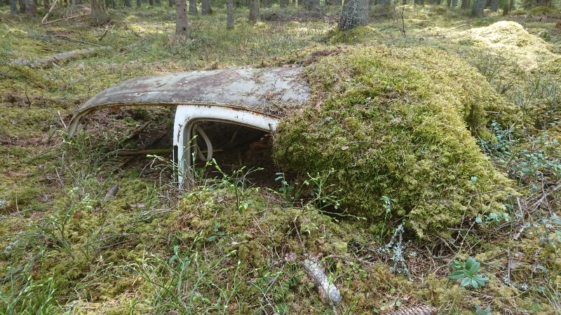 PilTak.jpg, 142.11 kb, 800 x 450