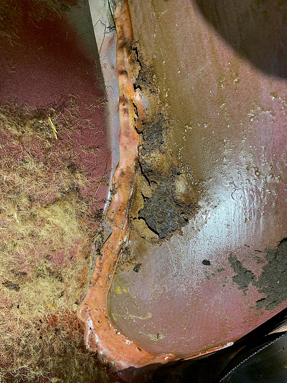 593FD8A3-8CDF-4C83-9D7C-B22A7EEC09CF.jpeg, 724.15 kb, 1008 x 1344