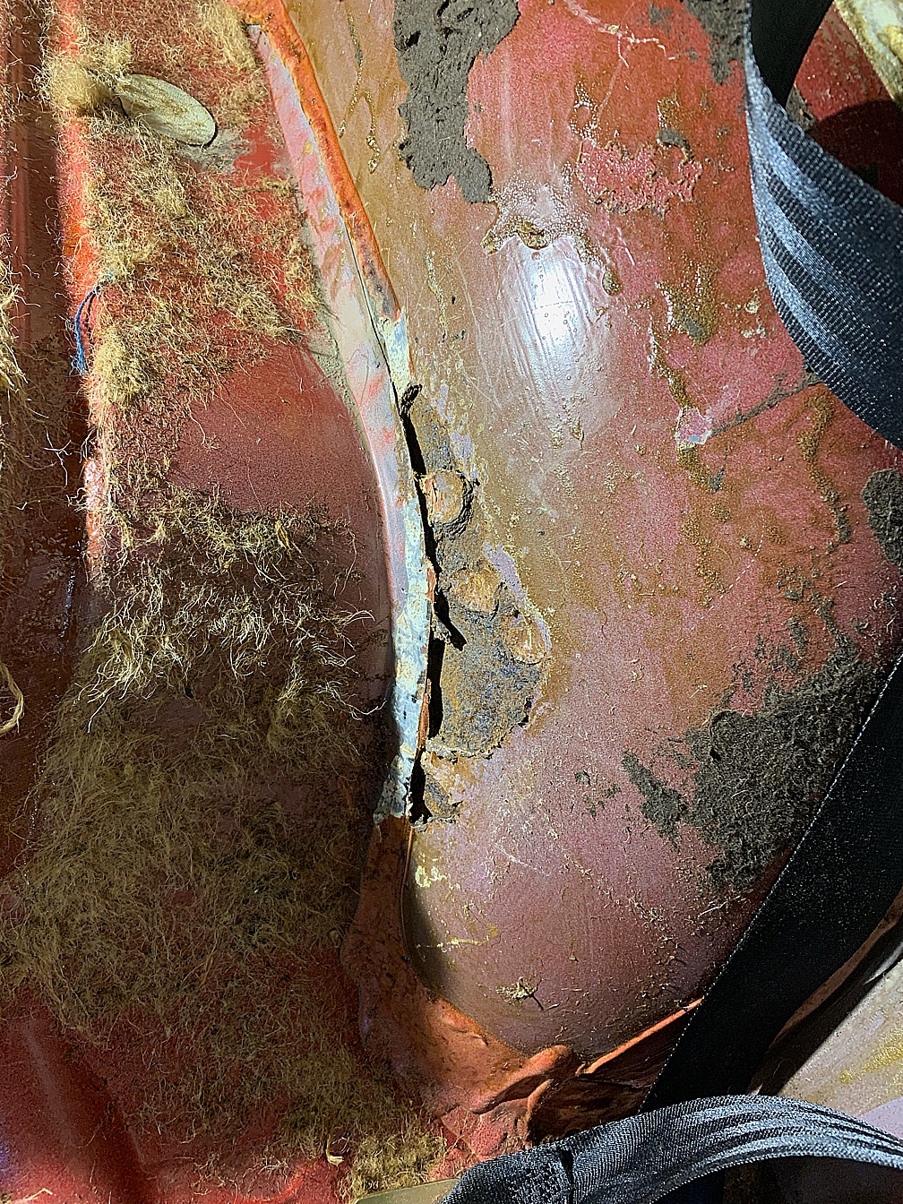 B7CD85FB-92DB-4B8C-94F6-478EE21617A0.jpeg, 854.13 kb, 1008 x 1344