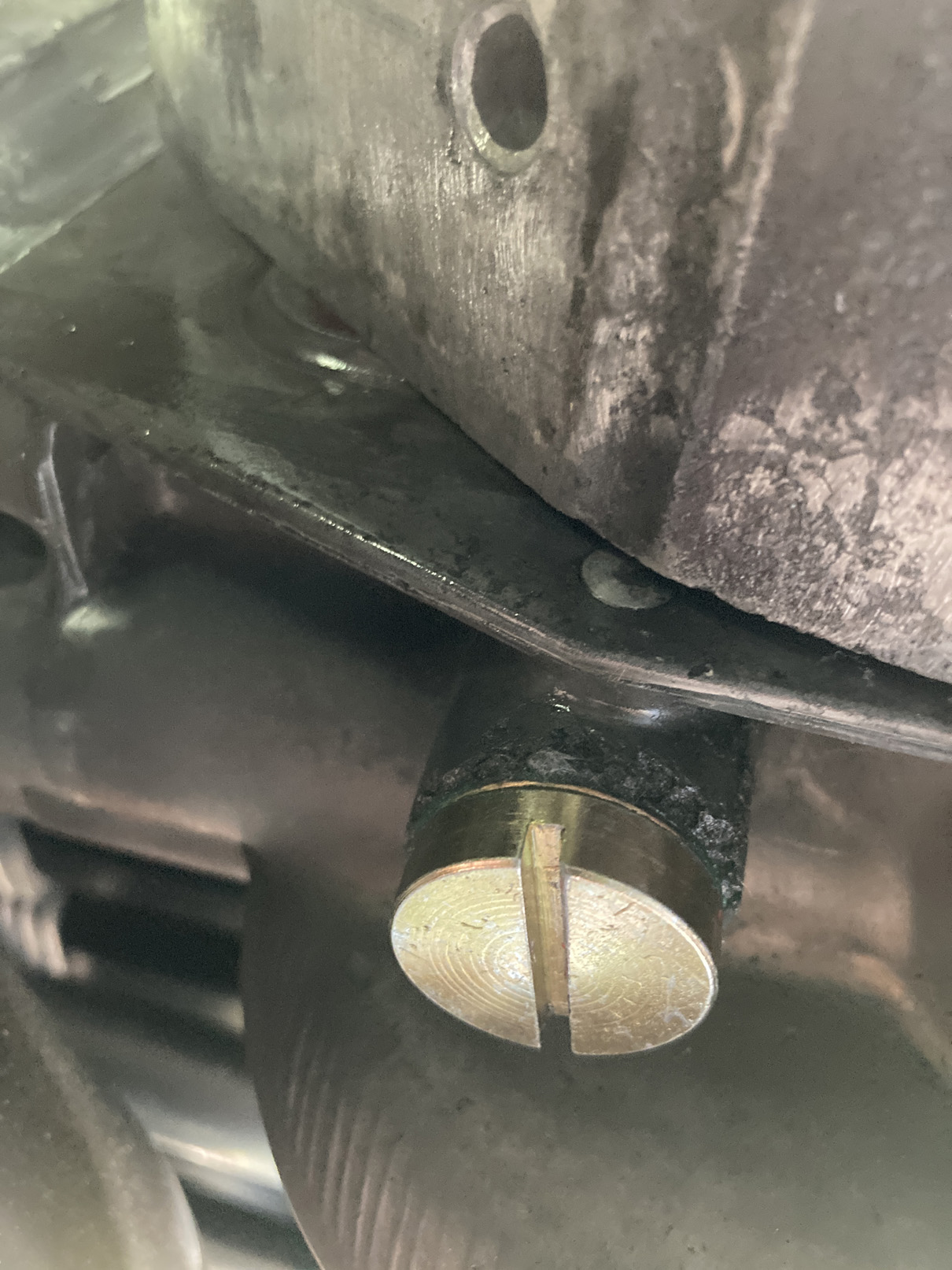 IMG_1876 2.JPG, 411.76 kb, 1210 x 1613