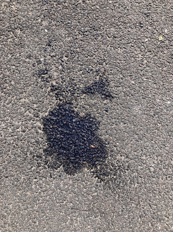 IMG_1874.JPG, 424.94 kb, 605 x 807