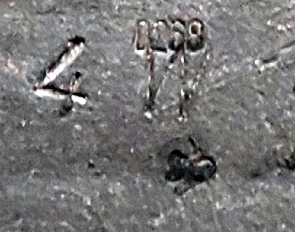 IMG_20210615_133528bbbbb (Medium).jpg, 137.68 kb, 977 x 768