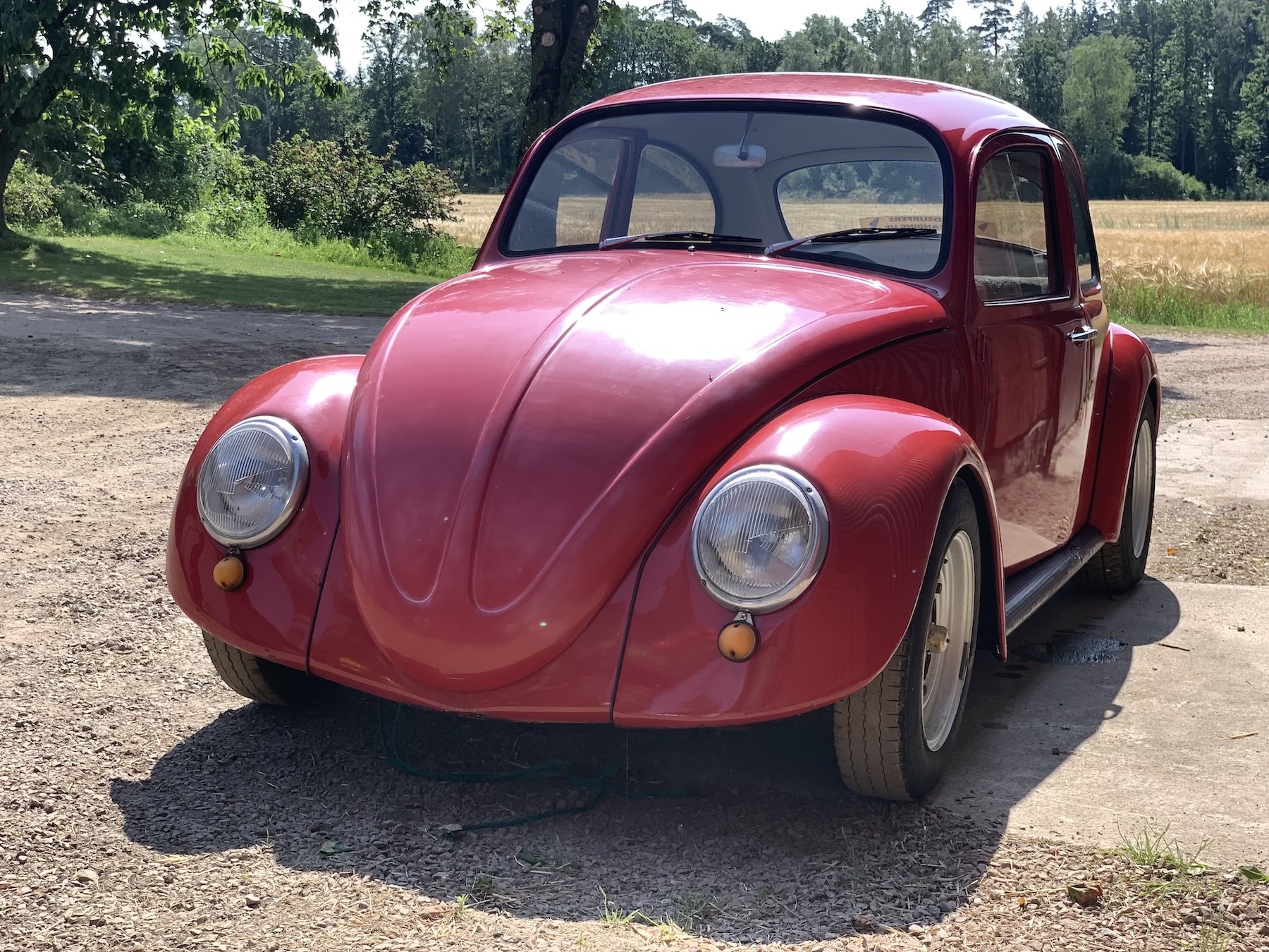 IMG_4056_1.jpg, 767.38 kb, 1800 x 1350