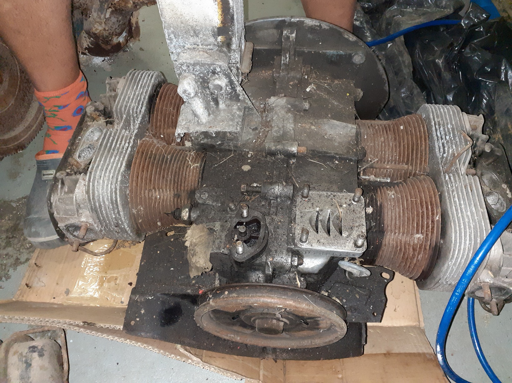 20210808_143615.jpg, 823.28 kb, 1638 x 1228