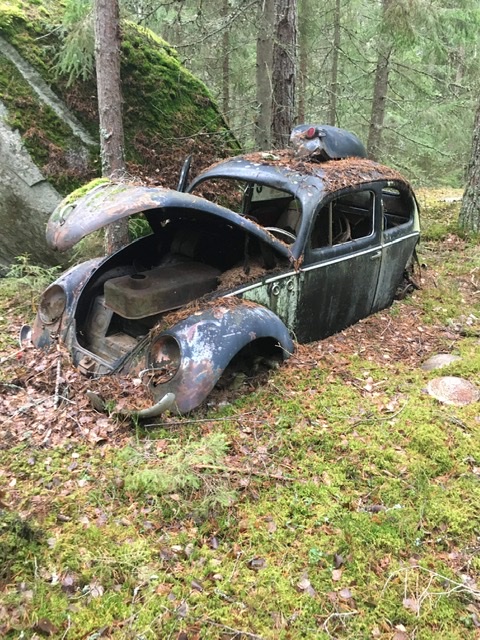 741A8929-1B88-4FDA-BEE0-425E510CDC09.jpeg, 198.08 kb, 480 x 640