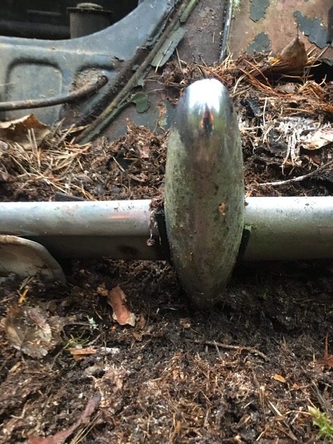 7F95E6E7-B03B-44E0-B0F8-62330856082F.jpeg, 156.65 kb, 480 x 640