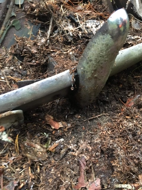 A6E9F0DC-1B68-4385-8196-00DA3C222387.jpeg, 162.19 kb, 480 x 640