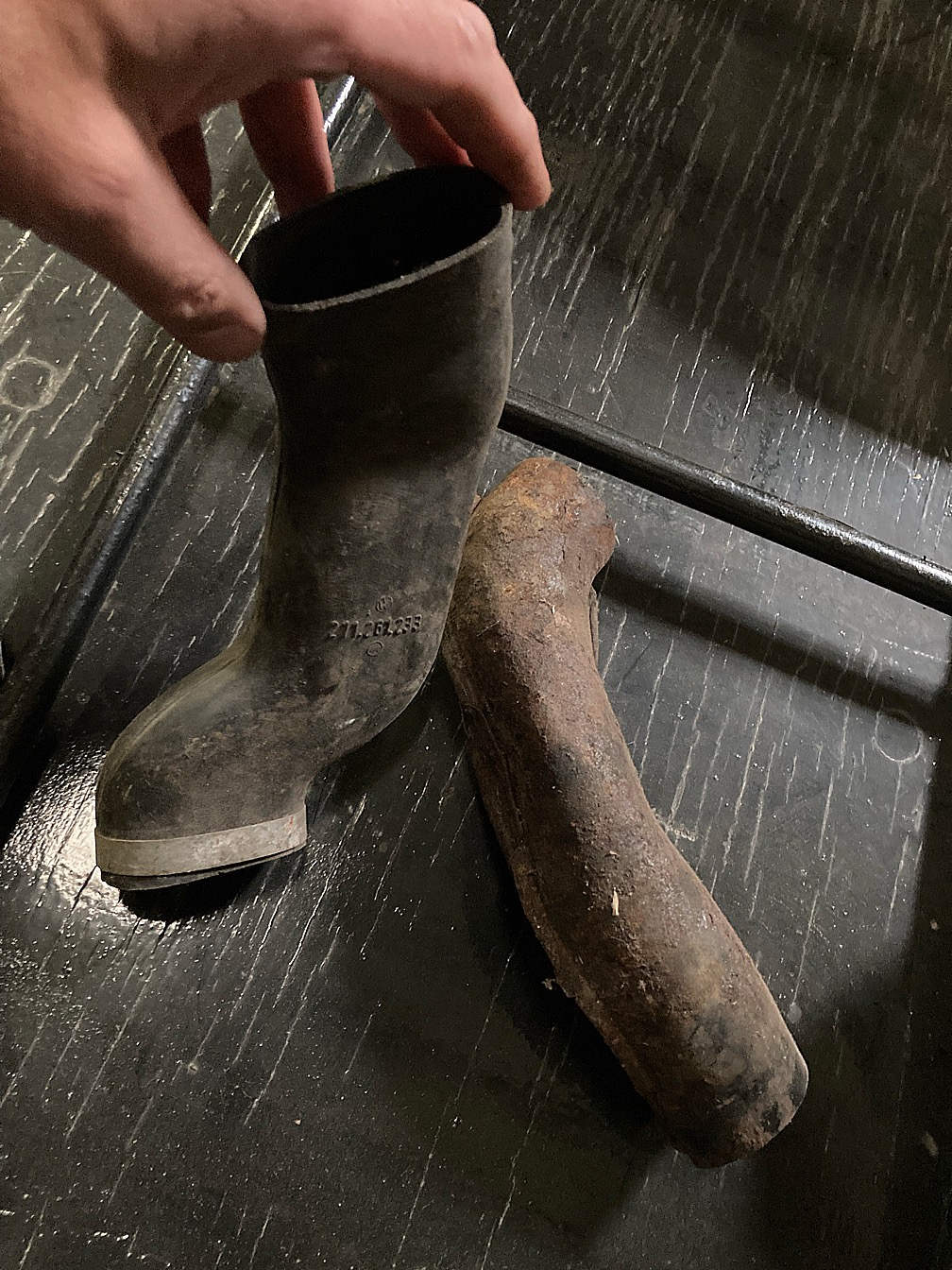 A6EEE5B6-B29A-4992-A6B4-E7BCA03539C4.jpeg, 536.05 kb, 1008 x 1344