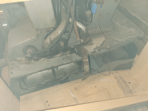 20210929_132948.jpg, 137.85 kb, 504 x 378