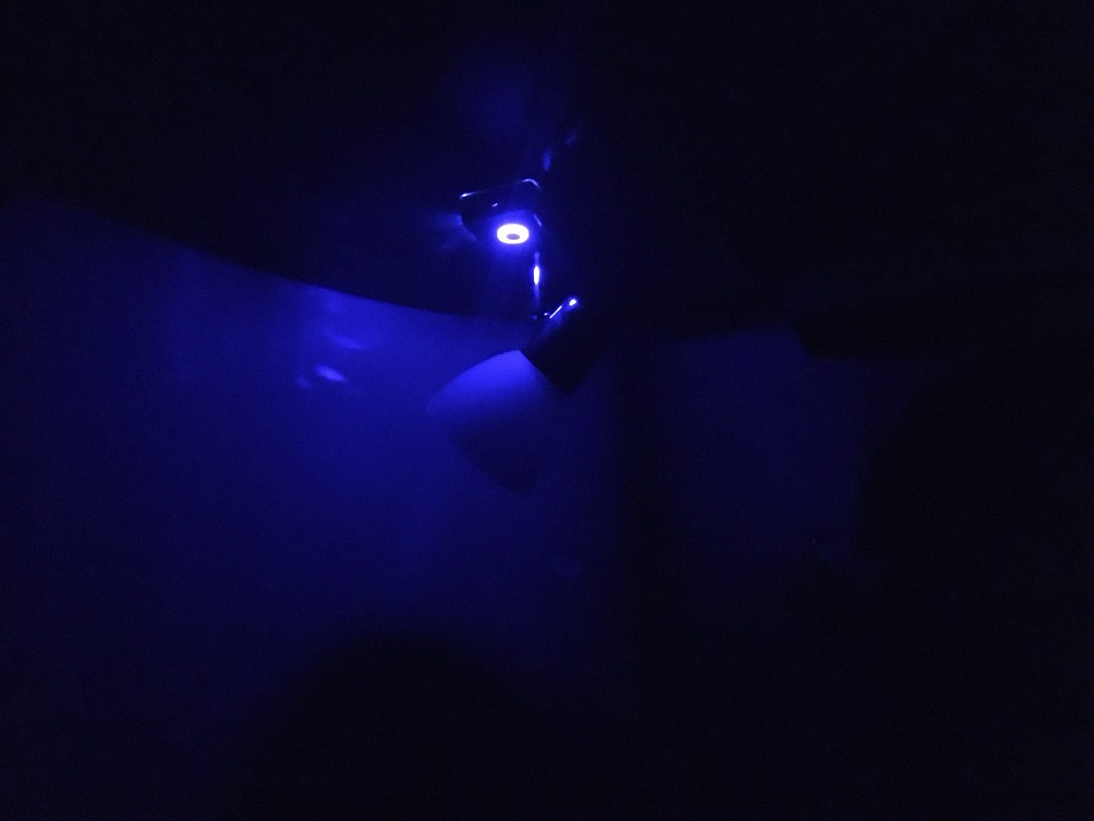 IMG_5968.JPG, 130.71 kb, 1008 x 756