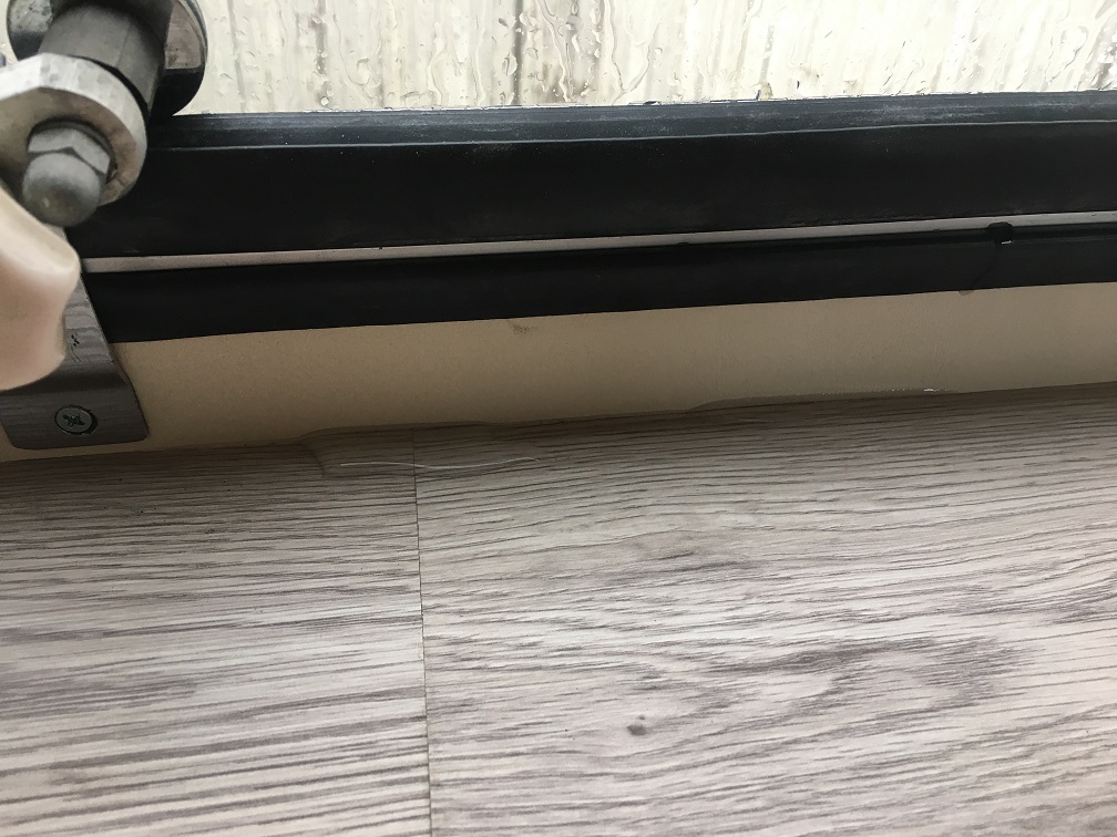 IMG_8466.JPG, 250.28 kb, 1008 x 756