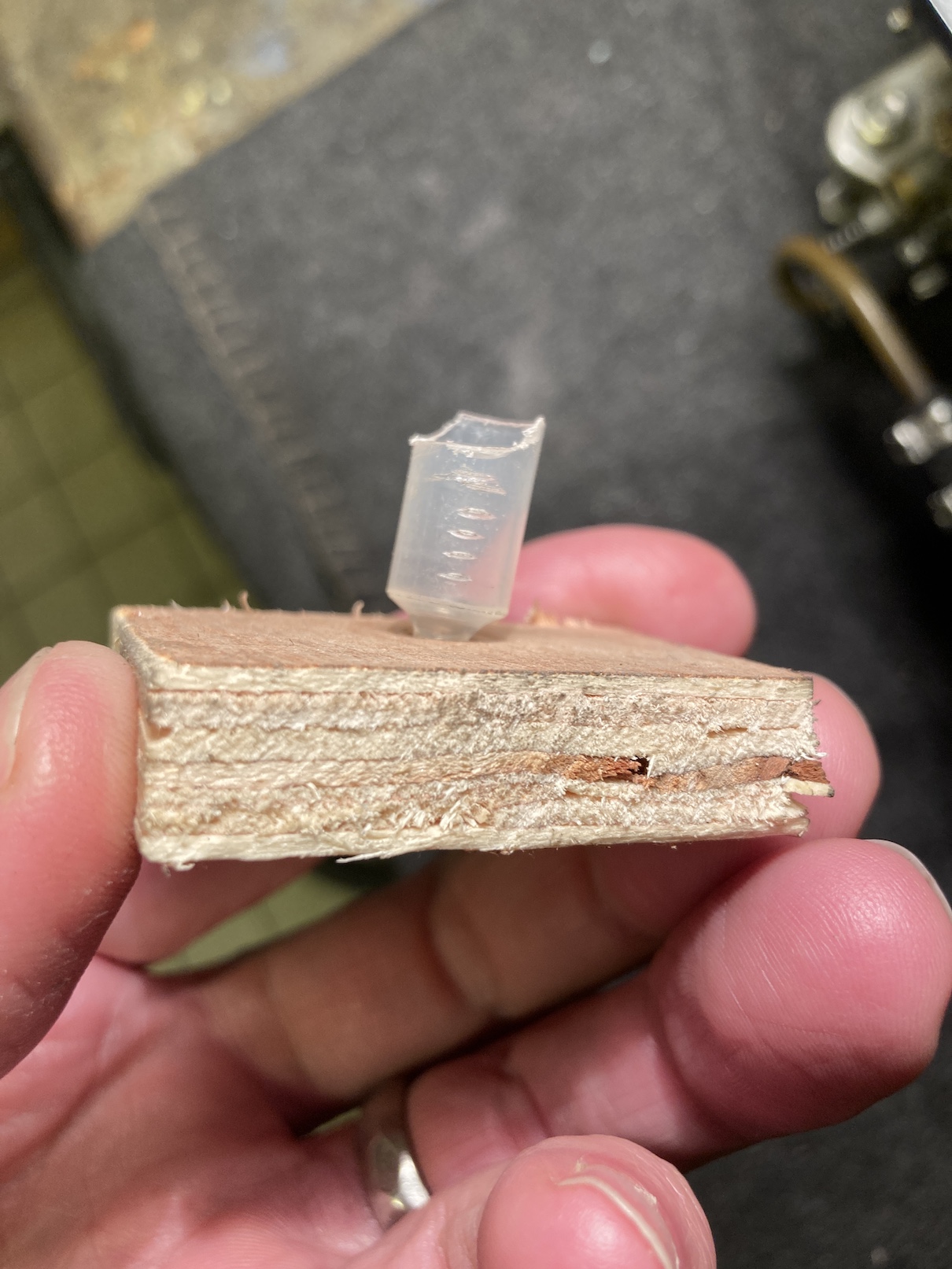 IMG_2537.JPG, 474.8 kb, 1210 x 1613