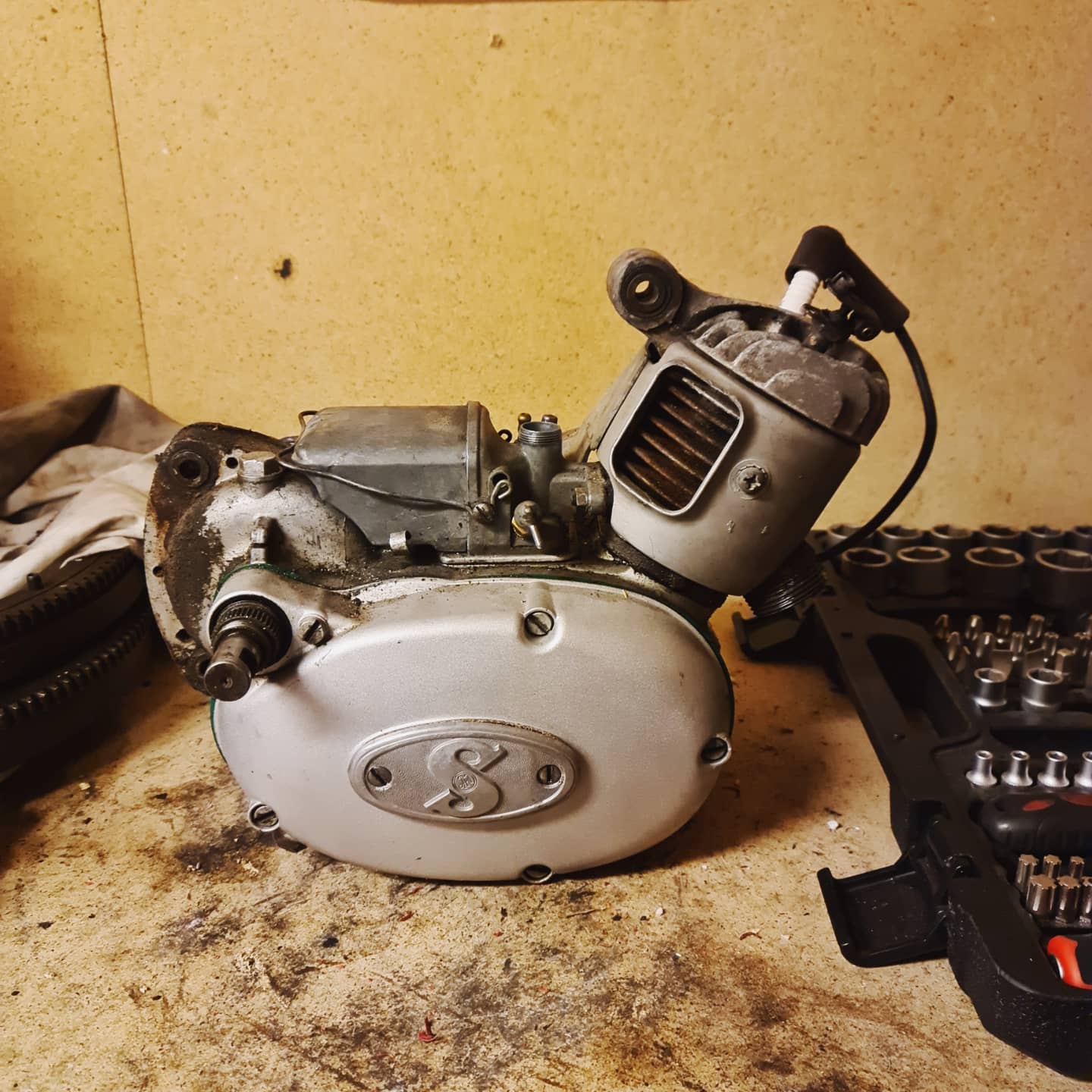 IMG_20211019_190943_957.jpg, 189.5 kb, 1440 x 1440