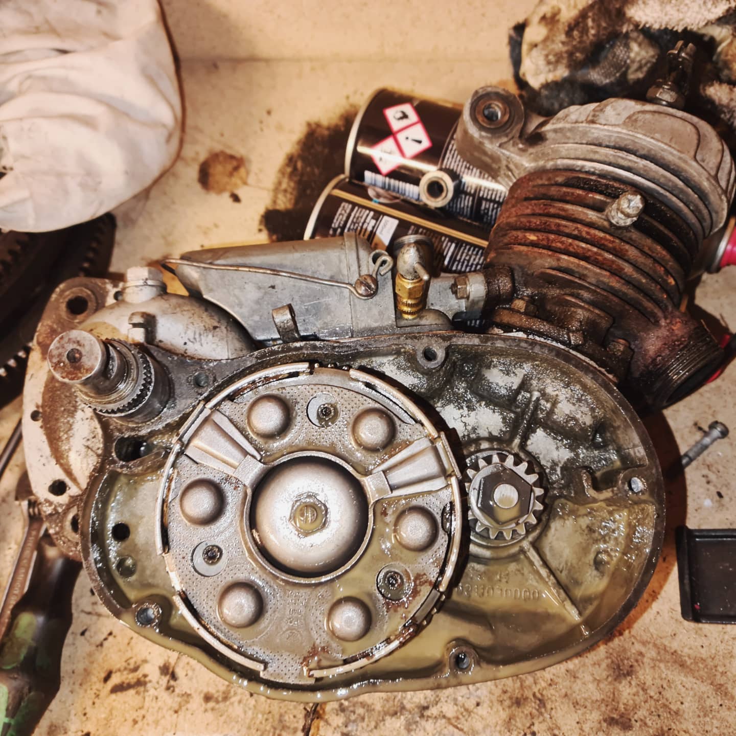 IMG_20211019_190943_989.jpg, 228.6 kb, 1440 x 1440