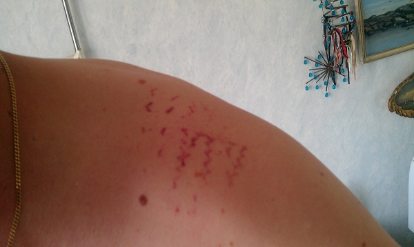 IMAG0682.jpg, 55.4 kb, 600 x 358