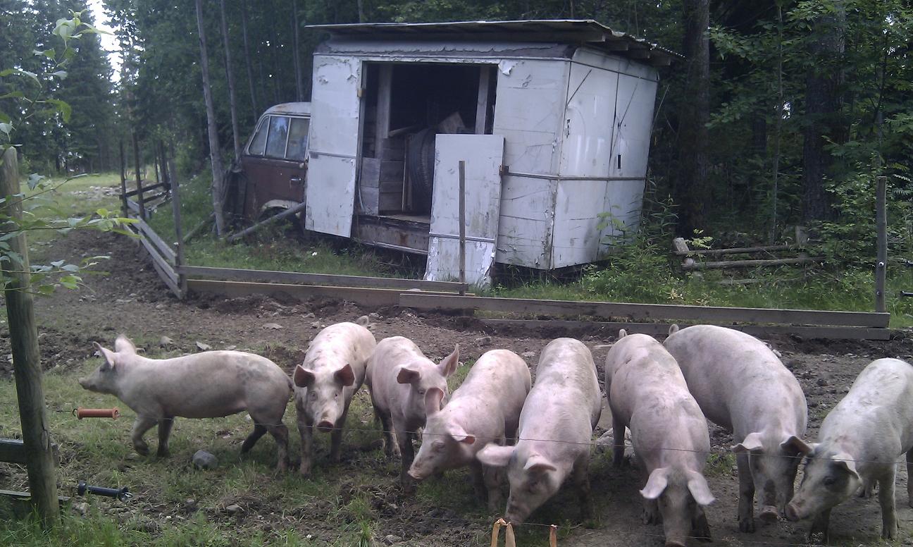 Grisbil.JPG, 180.63 kb, 1296 x 776