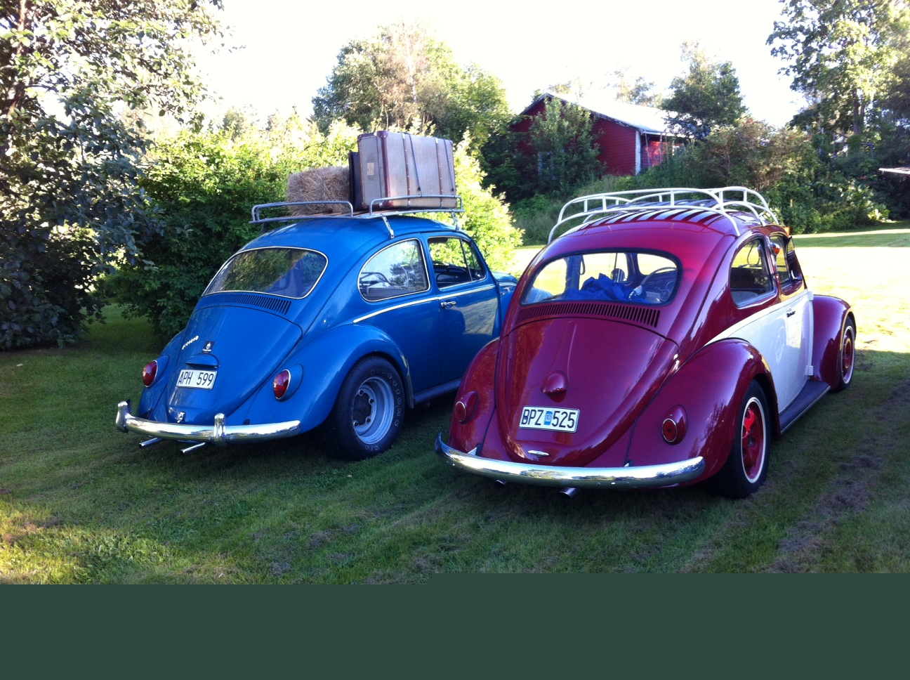 6.JPG, 565.74 kb, 1296 x 968